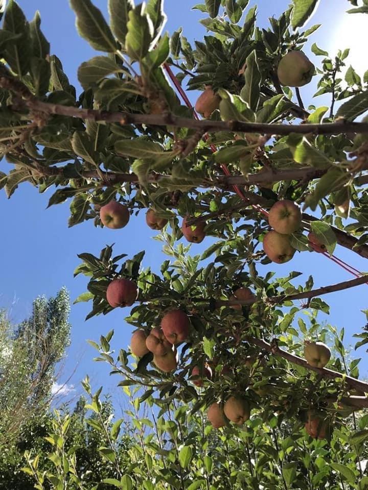 Jimmys Homestay Λεχ Εξωτερικό φωτογραφία